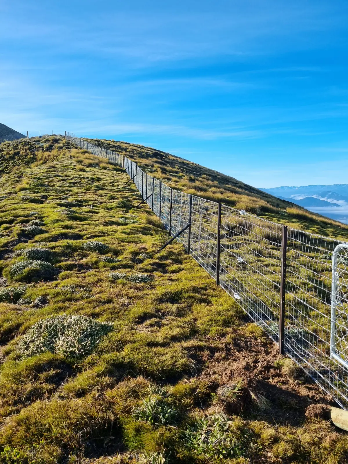 Landscape Predator Fencing Installation